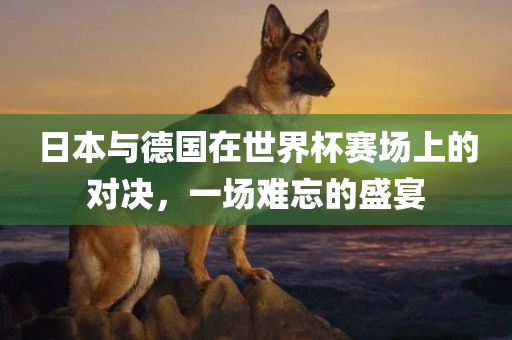 日本与德国在世界杯赛场上的对决,一场难忘的盛宴