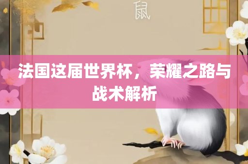 法国这届世界杯,荣耀之路与战术解析