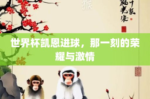 世界杯凯恩进球,那一刻的荣耀与激情