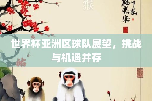 世界杯亚洲区球队展望,挑战与机遇并存