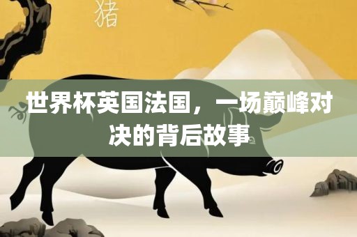 世界杯英国法国，一场巅峰对决的背后故事