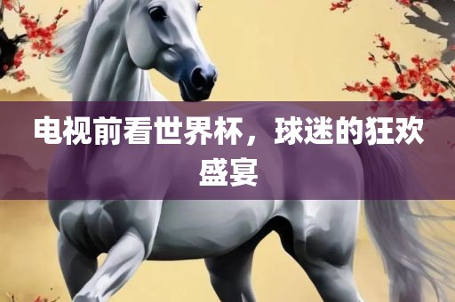 电视前看世界杯,球迷的狂欢盛宴