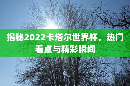 揭秘2022卡塔尔世界杯,热门看点与精彩瞬间