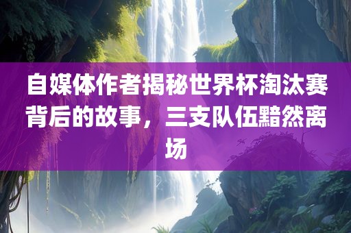 自媒体作者揭秘世界杯淘汰赛背后的故事，三支队伍黯然离场