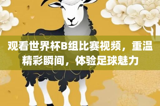 观看世界杯B组比赛视频,重温精彩瞬间,体验足球魅力