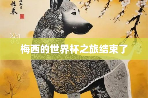 梅西的世界杯之旅结束了