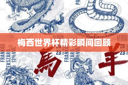 梅西世界杯精彩瞬间回顾