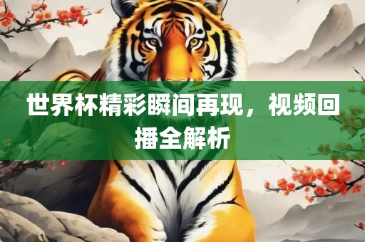 世界杯精彩瞬间再现,视频回播全解析