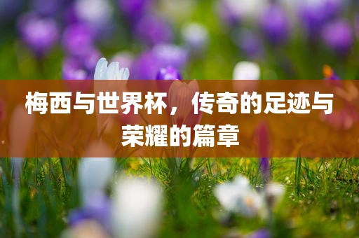 梅西与世界杯,传奇的足迹与荣耀的篇章