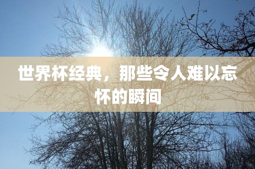 世界杯经典,那些令人难以忘怀的瞬间