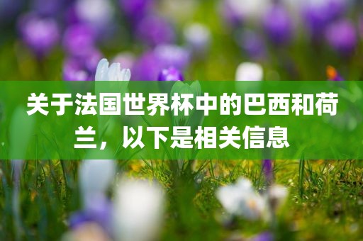 关于法国世界杯中的巴西和荷兰,以下是相关信息