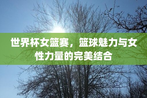 世界杯女篮赛,篮球魅力与女性力量的完美结合