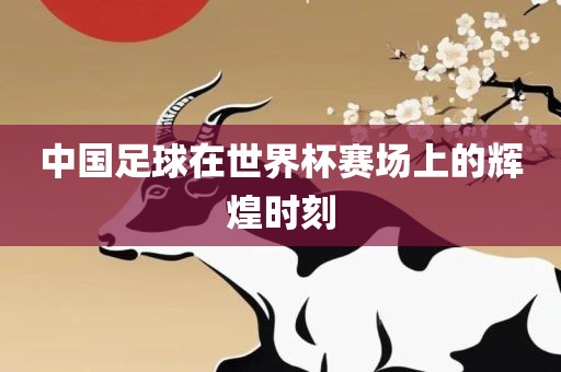 中国足球在世界杯赛场上的辉煌时刻