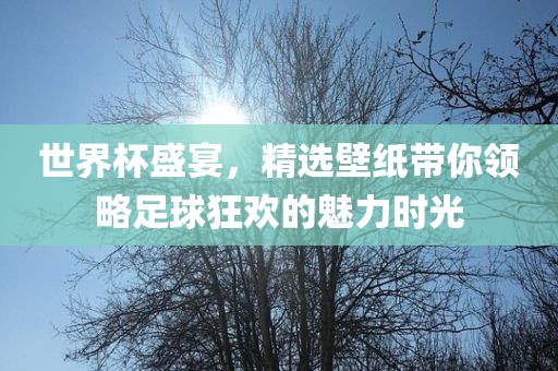 世界杯盛宴,精选壁纸带你领略足球狂欢的魅力时光