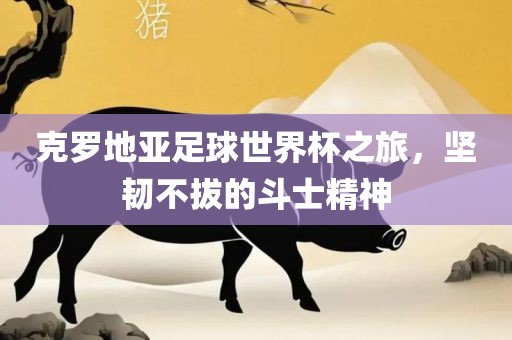 克罗地亚足球世界杯之旅,坚韧不拔的斗士精神