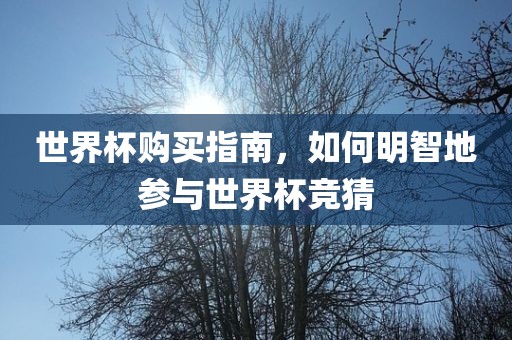 世界杯购买指南，如何明智地参与世界杯竞猜