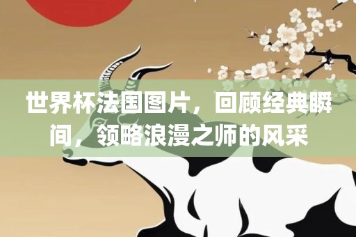 世界杯法国图片，回顾经典瞬间，领略浪漫之师的风采