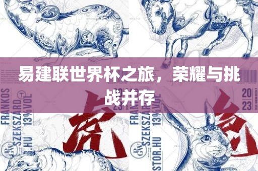 易建联世界杯之旅,荣耀与挑战并存