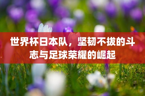 世界杯日本队，坚韧不拔的斗志与足球荣耀的崛起