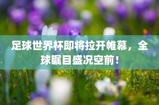 足球世界杯即将拉开帷幕,全球瞩目盛况空前!