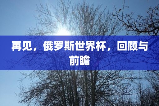 再见,俄罗斯世界杯,回顾与前瞻