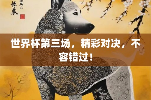 世界杯第三场,精彩对决,不容错过!