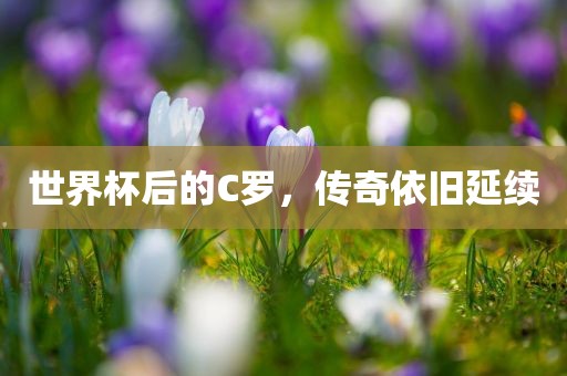 世界杯后的C罗,传奇依旧延续