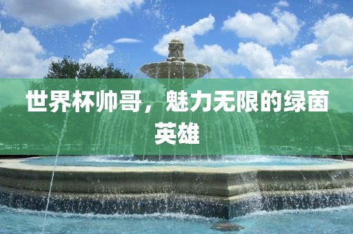 世界杯帅哥,魅力无限的绿茵英雄