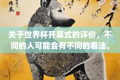 关于世界杯开幕式的评价,不同的人可能会有不同的看法。