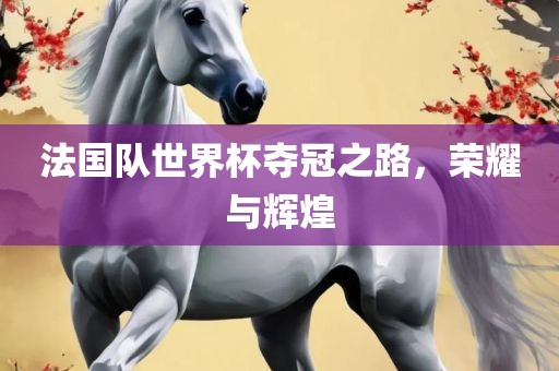 法国队世界杯夺冠之路,荣耀与辉煌