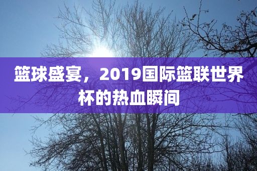篮球盛宴,2019国际篮联世界杯的热血瞬间