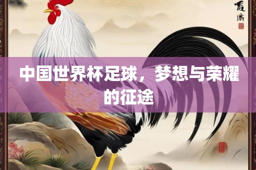 中国世界杯足球,梦想与荣耀的征途