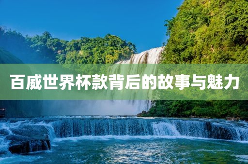 百威世界杯款背后的故事与魅力