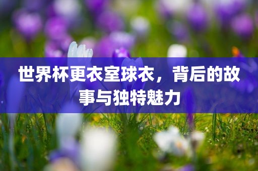 世界杯更衣室球衣，背后的故事与独特魅力
