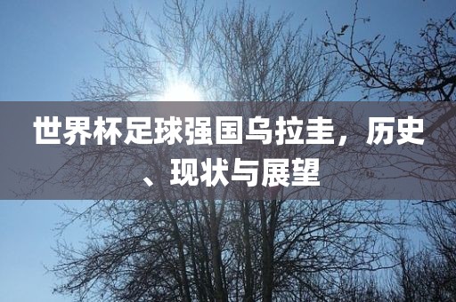 世界杯足球强国乌拉圭,历史、现状与展望