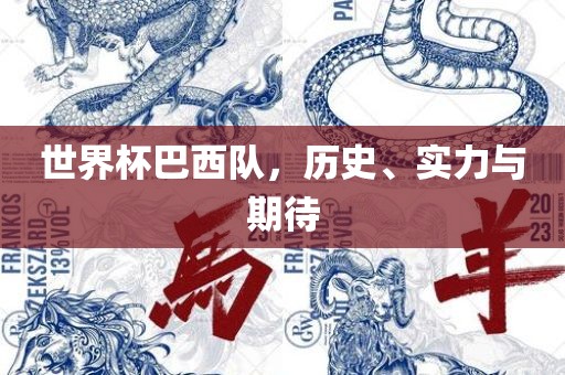 世界杯巴西队,历史、实力与期待