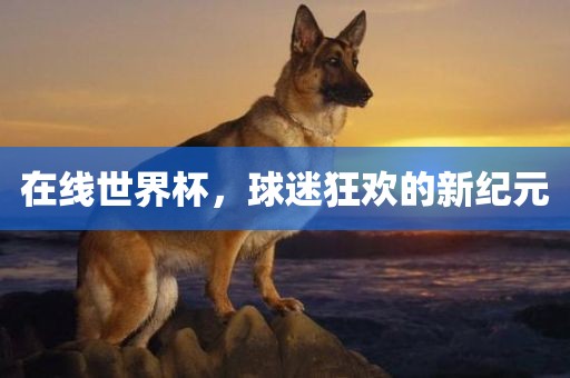 在线世界杯,球迷狂欢的新纪元