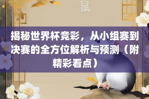 揭秘世界杯竞彩,从小组赛到决赛的全方位解析与预测(附精彩看点)