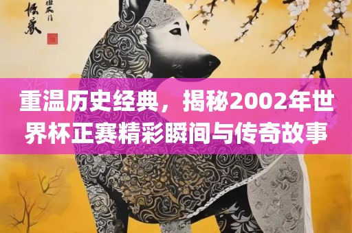 重温历史经典,揭秘2002年世界杯正赛精彩瞬间与传奇故事