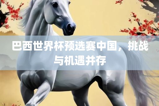 巴西世界杯预选赛中国,挑战与机遇并存