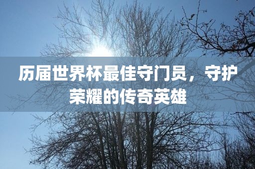 历届世界杯最佳守门员，守护荣耀的传奇英雄