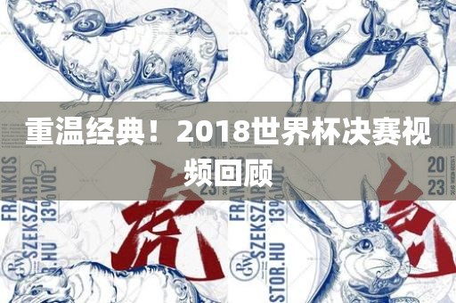 重温经典!2018世界杯决赛视频回顾