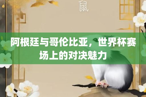 阿根廷与哥伦比亚,世界杯赛场上的对决魅力