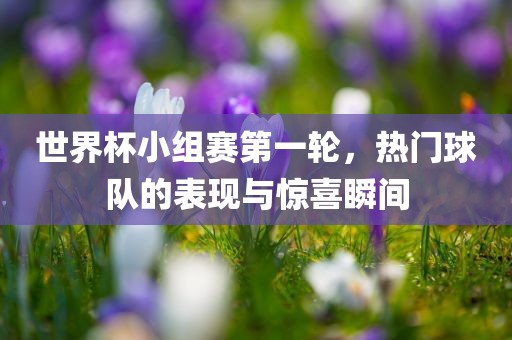 世界杯小组赛第一轮,热门球队的表现与惊喜瞬间