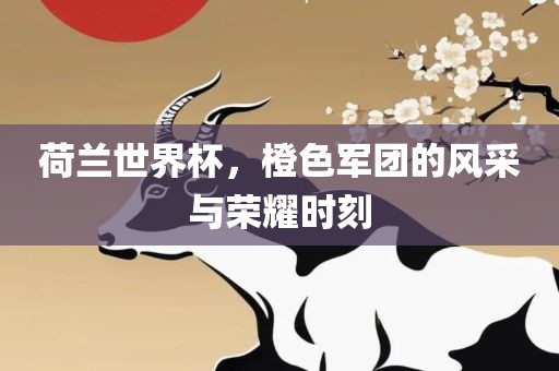 荷兰世界杯,橙色军团的风采与荣耀时刻