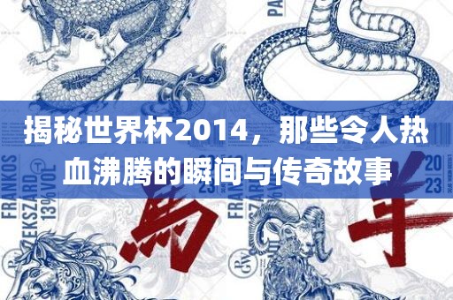 揭秘世界杯2014,那些令人热血沸腾的瞬间与传奇故事