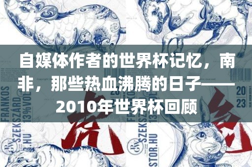 自媒体作者的世界杯记忆,南非,那些热血沸腾的日子——2010年世界杯回顾