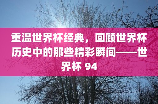 重温世界杯经典，回顾世界杯历史中的那些精彩瞬间——世界杯 94