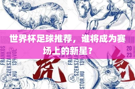世界杯足球推荐，谁将成为赛场上的新星？