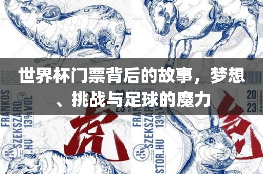 世界杯门票背后的故事，梦想、挑战与足球的魔力